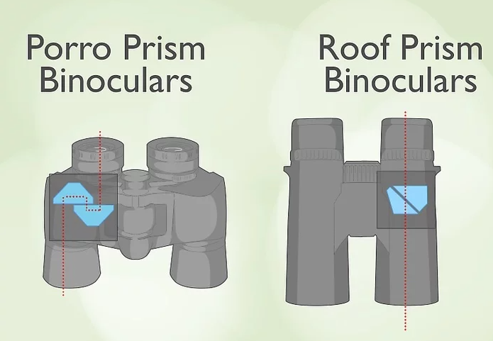 info-695-481 info-695-481